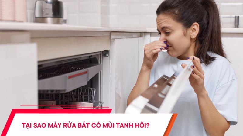 Tại sao máy rửa bát có mùi tanh, hôi?