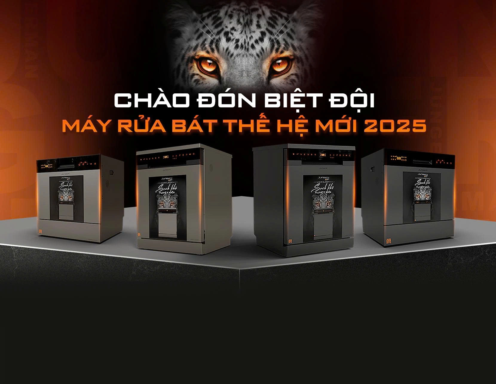 Máy rửa bát