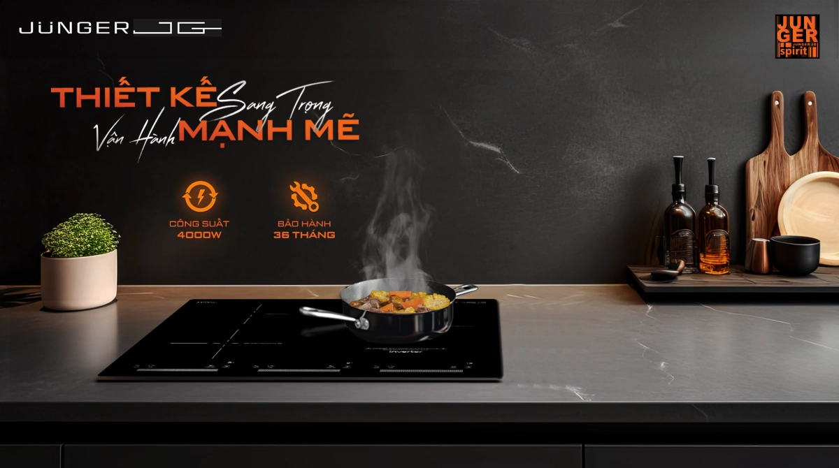 [Bật mí] Tại sao bếp từ đôi lại đắt? Có đáng mua không?